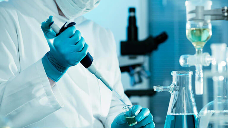 Testing Services